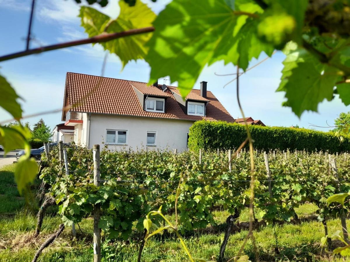 Ferienwohnung Am Schoosberg, Niederkirchen Bei Deidesheim Exterior photo